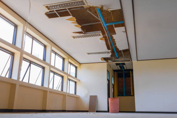 Best Water damage contractors near me  in Ann Arbor, MI