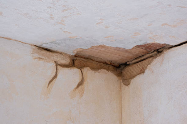 Water damage restoration insurance claims in MI