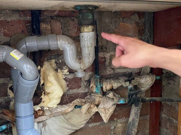 Best Water damage restoration insurance claims  in Ann Arbor, MI