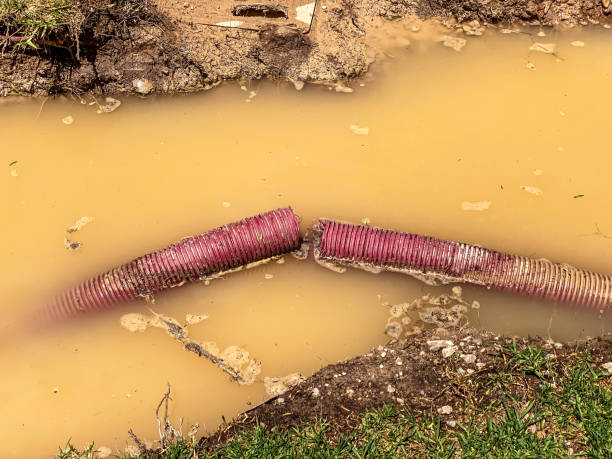 Best Emergency water damage restoration  in Ann Arbor, MI